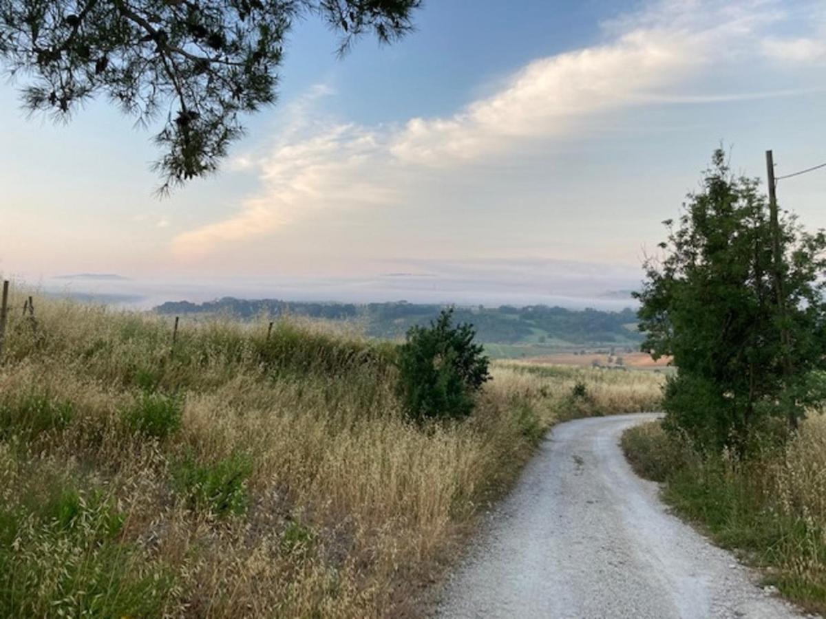 Bio Agriturismo Il Torrione Saturnia Exteriér fotografie