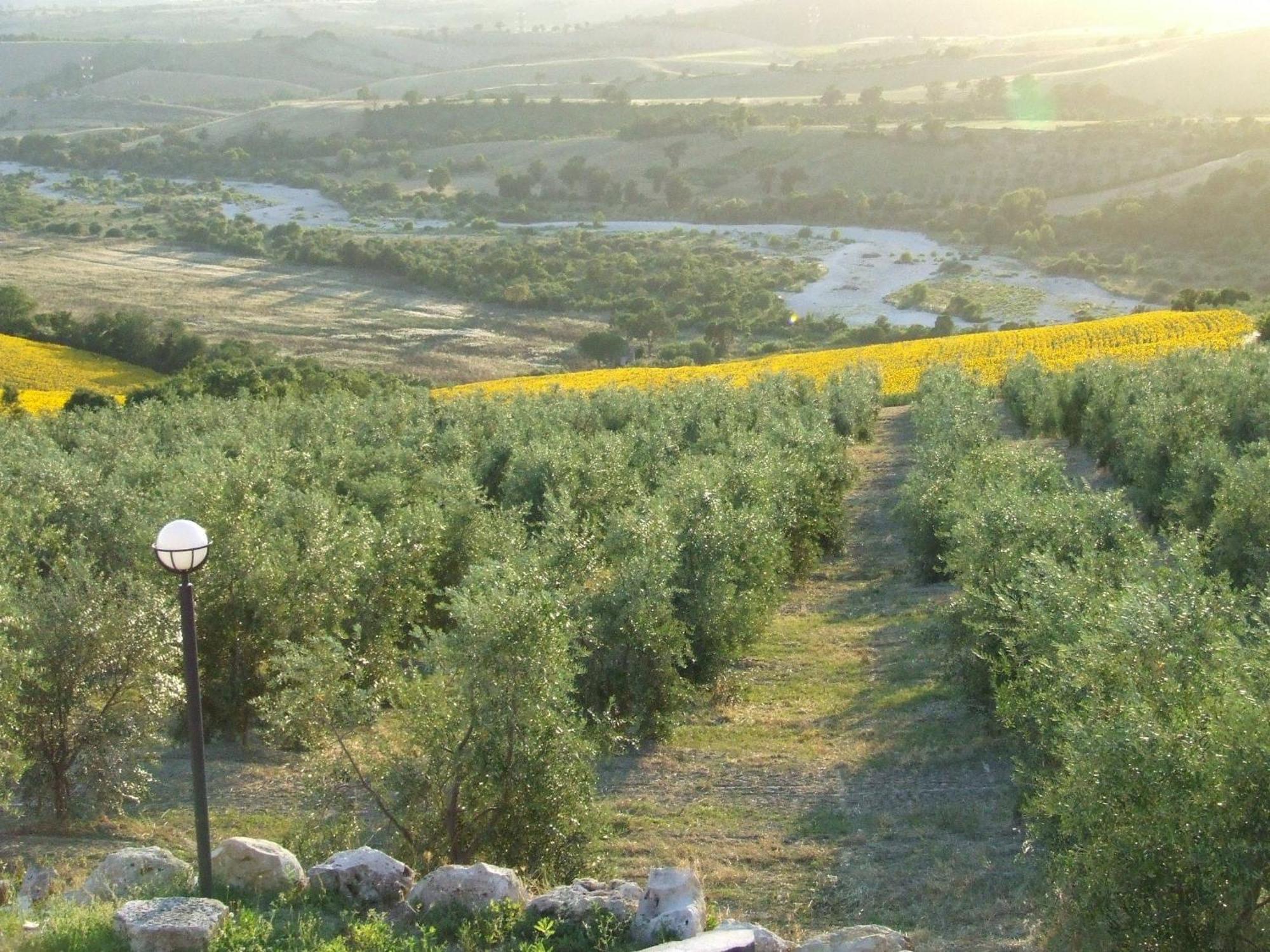 Bio Agriturismo Il Torrione Saturnia Exteriér fotografie